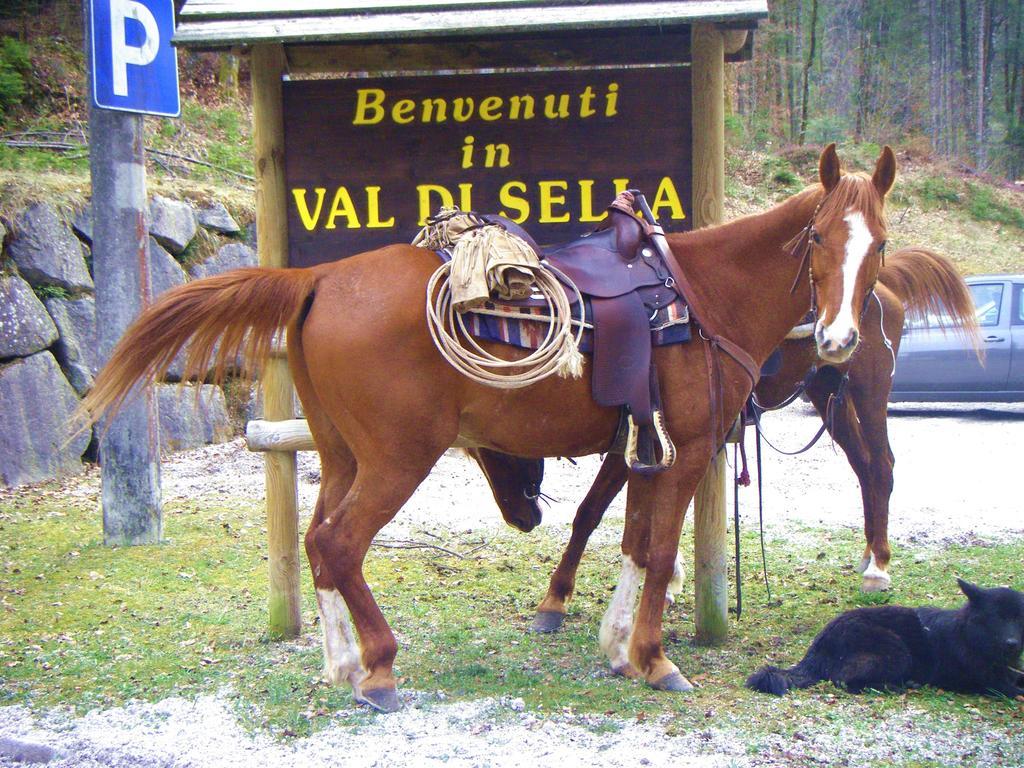 Hotel Garni Sella Cipriani Borgo Valsugana Exteriér fotografie